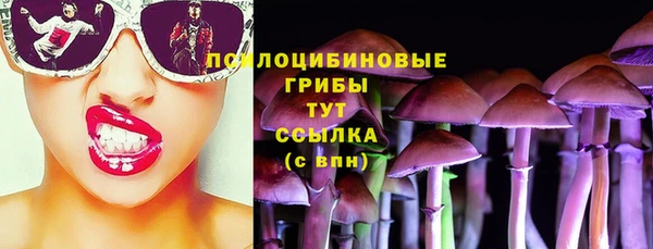 apvp Магадан