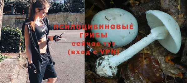 apvp Магадан