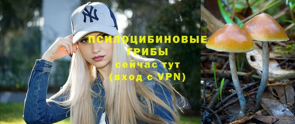 jwh Магас